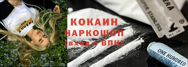 гашиш Богданович