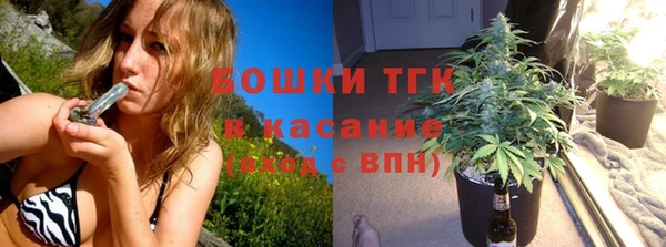 эйфоретик Бородино
