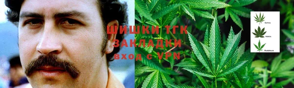 эйфоретик Бородино